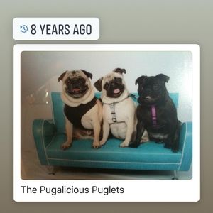 Meet your Posher, Donna